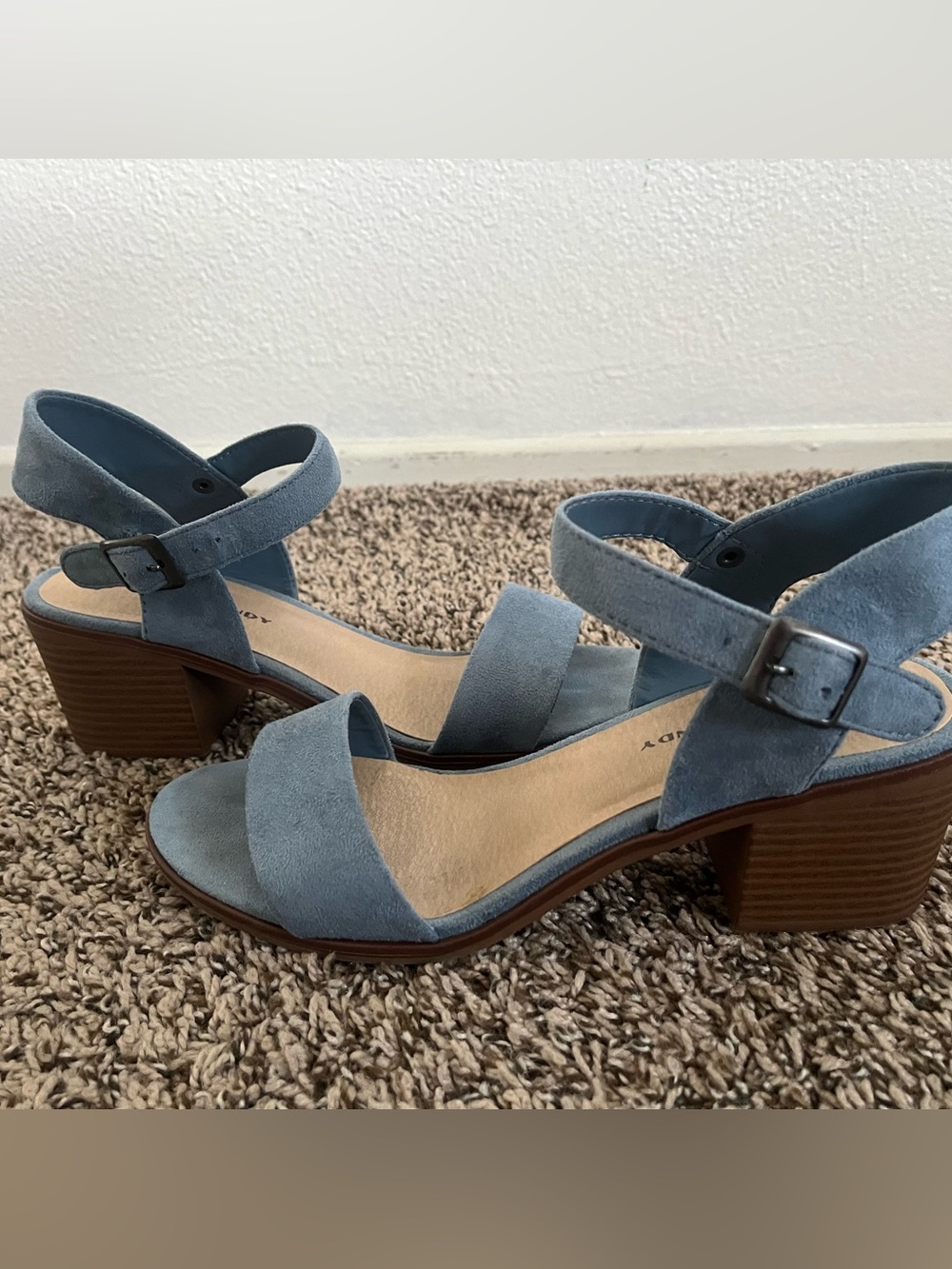 Women’s Blue Suede Block Heel Sandals